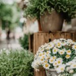 Tips for Creating a Relaxing Garden Space at Home